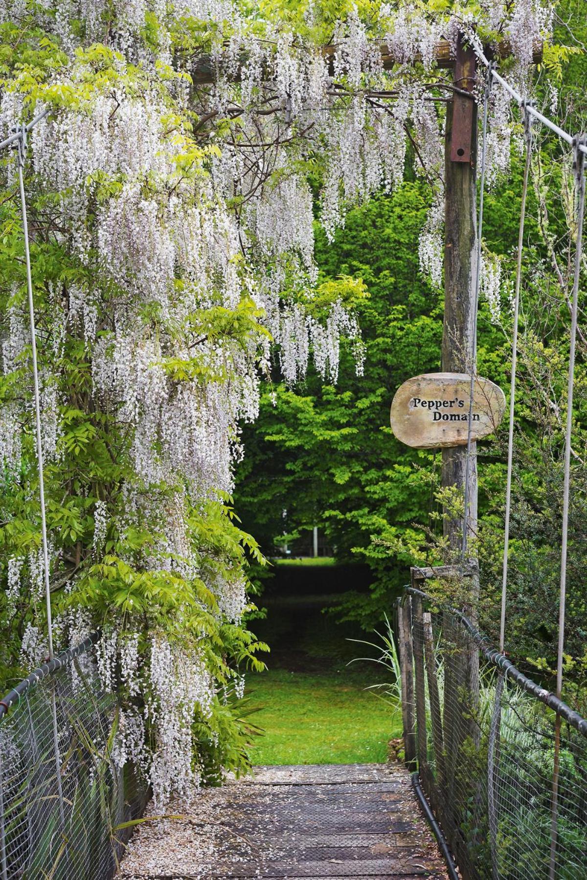 Tepopo Gardens Rural Retreat Villa Stratford Bagian luar foto