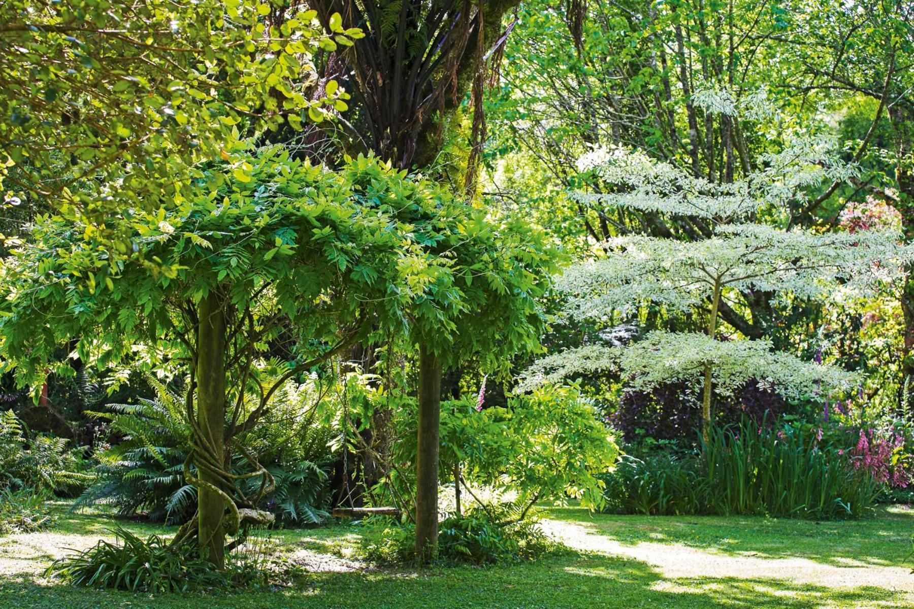 Tepopo Gardens Rural Retreat Villa Stratford Bagian luar foto