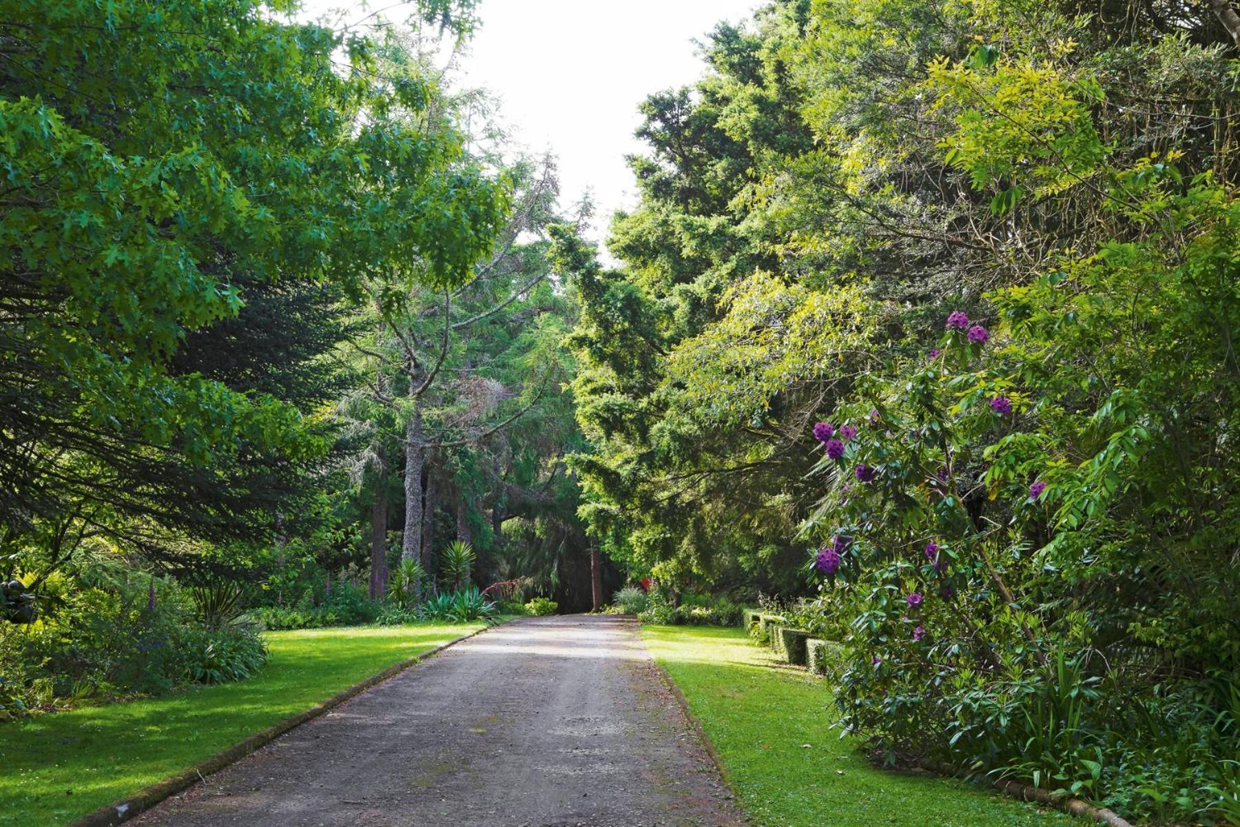 Tepopo Gardens Rural Retreat Villa Stratford Bagian luar foto