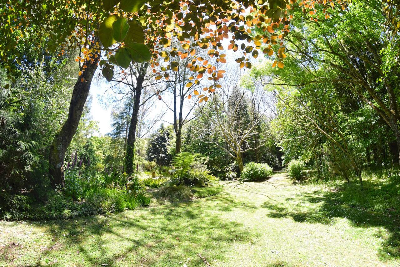Tepopo Gardens Rural Retreat Villa Stratford Bagian luar foto